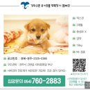 배씨네집 | 호떡이의 신문기사 데뷔 | 배씨네 최고 아웃풋, 인생역전 호떡이
