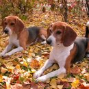 은숙농장 이미지