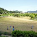 함평파크골프장 이미지