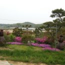 정자리농장 이미지