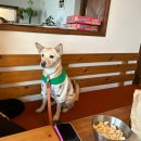 영동여관 이미지