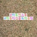 하동여행 차소풍 섬진강이 보이는 따신골 녹차정원 아이랑 티 캠핑