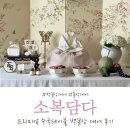 백일상 돌상 대여 소복담다 프리미엄 수국테이블 후기