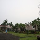 표선 휴 이미지