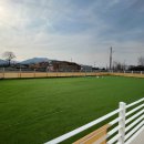 코지독하우스 이미지