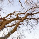 무릉1리마을회관 이미지