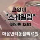 장수동물의료원 이미지