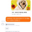 성원정비 | [공지] 내 그림 수익화 도전기 + 드로잉미 2주 챌린지 완주 후기