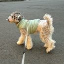 (주)조이락 | 얼렁뚱땅 쉽게쉽게 사는세상 이제부턴 다 필요없다 이판사판 나의 인생 거침없어라