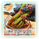 자활센터돌산갓김치 | 여수 갓김치 만들기 돌산갓고을센터 현지에서 김치 담근 후기