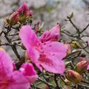 남참경로당 이미지