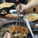 팔도생고기 이미지