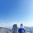 유가사등산로 | 대구 비슬산 등산, 유가사~대견봉 참꽃군락지 개화현황(25.4.6.)