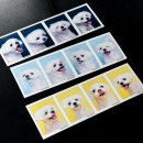 온새미로 이미지