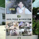 상촌 다목적광장 이미지