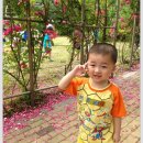 달미공원 이미지