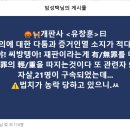 🤬🐕개판사 ＜유창훈＞曰 이미지