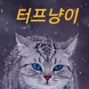 나이아가라식당 이미지