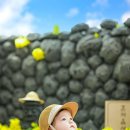 경기도 수원시 팔달구 정조로777번길 이미지