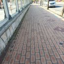 사월의국수 이미지