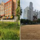 수원금곡초등학교 이미지