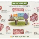 세겹생고기 이미지