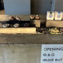 도순동-3 | [제주/ 도순동] 올디벗구디