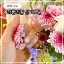 단이네일 - 7080 | 구래동네일 꼼꼼해서 놀랐던 김포 단이네일샵 다녀온 후기
