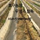 호구농장 이미지