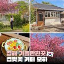 집에서 즐기는 브런치(4월 모집) | 김해 겹벚꽃 유채꽃 한 번에 즐기는 브런치 카페 모하 후기