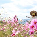 허수아비 이미지