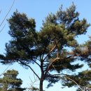 소나농장 이미지