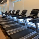 리즈핏 PT 이미지