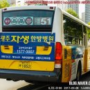 주정차-51 이미지