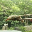 드셔보새우 본점