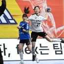 삼척시청 이미지