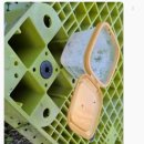 꿀벌아 고마워 공인중개사사무소 이미지