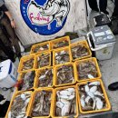 영복1호 이미지