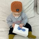 큐브 | 토핑 이유식 큐브 추천, 로코유 이유식 큐브 (구슬큐브 ･ 동물큐브) 실사용 후기