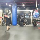 신월복싱체육관 이미지