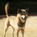 오륜상사 이미지