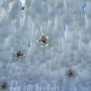 디바인밸리 이미지