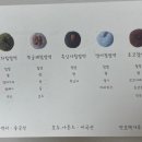 소미당 이미지