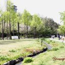 경의선숲길 이미지