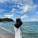 플로리다 대탄 이미지