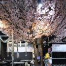 중앙정육식당 이미지