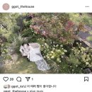 [웨딩 촬영: st.ggot / ggot the house, 지지오티 더 하우스 계약]