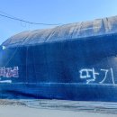 솜사탕 | 파주 아이랑 체험| 월롱딸기농장 따기체험, 솜사탕 만들기 후기