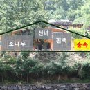 하늘빛소나무펜션 이미지
