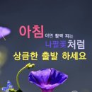 재우